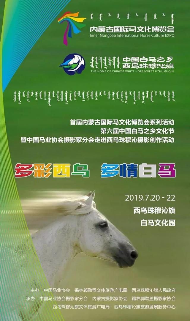 2024今晚香港开特马开什么六期,探索香港特马文化，六期特马展望与深度解析