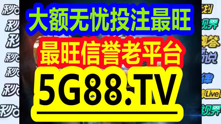 管家婆一码中一肖2024,探索未来，管家婆一码中一肖的魅力与预测（2024展望）