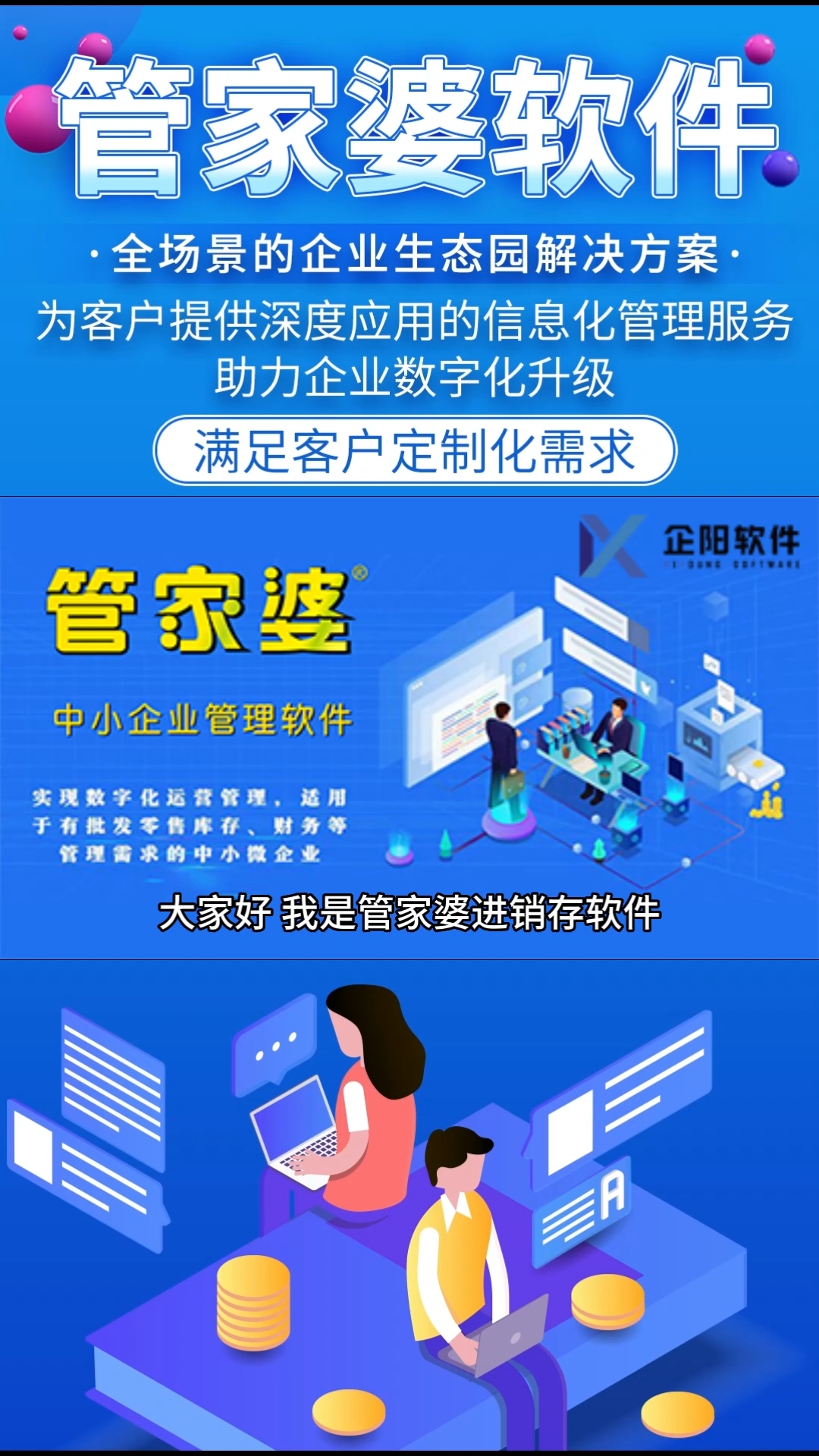 管家婆2024资料精准大全,管家婆2024资料精准大全，探索与解析