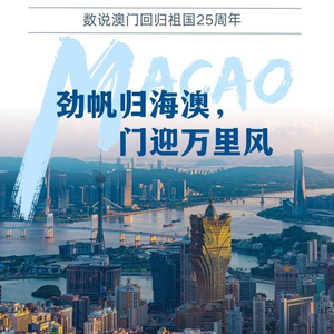 2025澳门精准正版图库,澳门正版图库，探索未来的视觉盛宴与数字艺术之旅