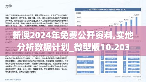 新澳2025正版资料免费大全,新澳2025正版资料免费大全，探索与启示