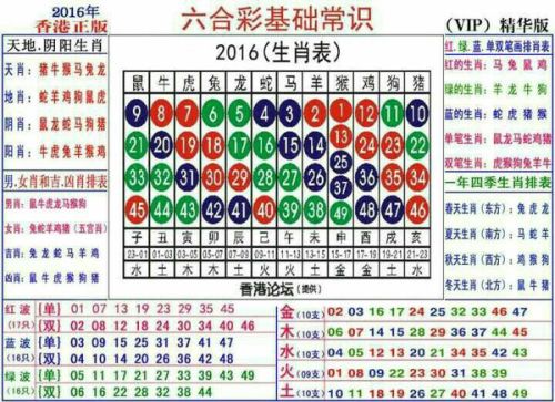 2025十二生肖49码表,揭秘十二生肖与数字彩票的奇妙结合，2025年十二生肖49码表详解