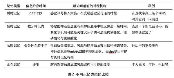 二四六香港全年免费资料说明,二四六香港全年免费资料说明，获取与使用指南