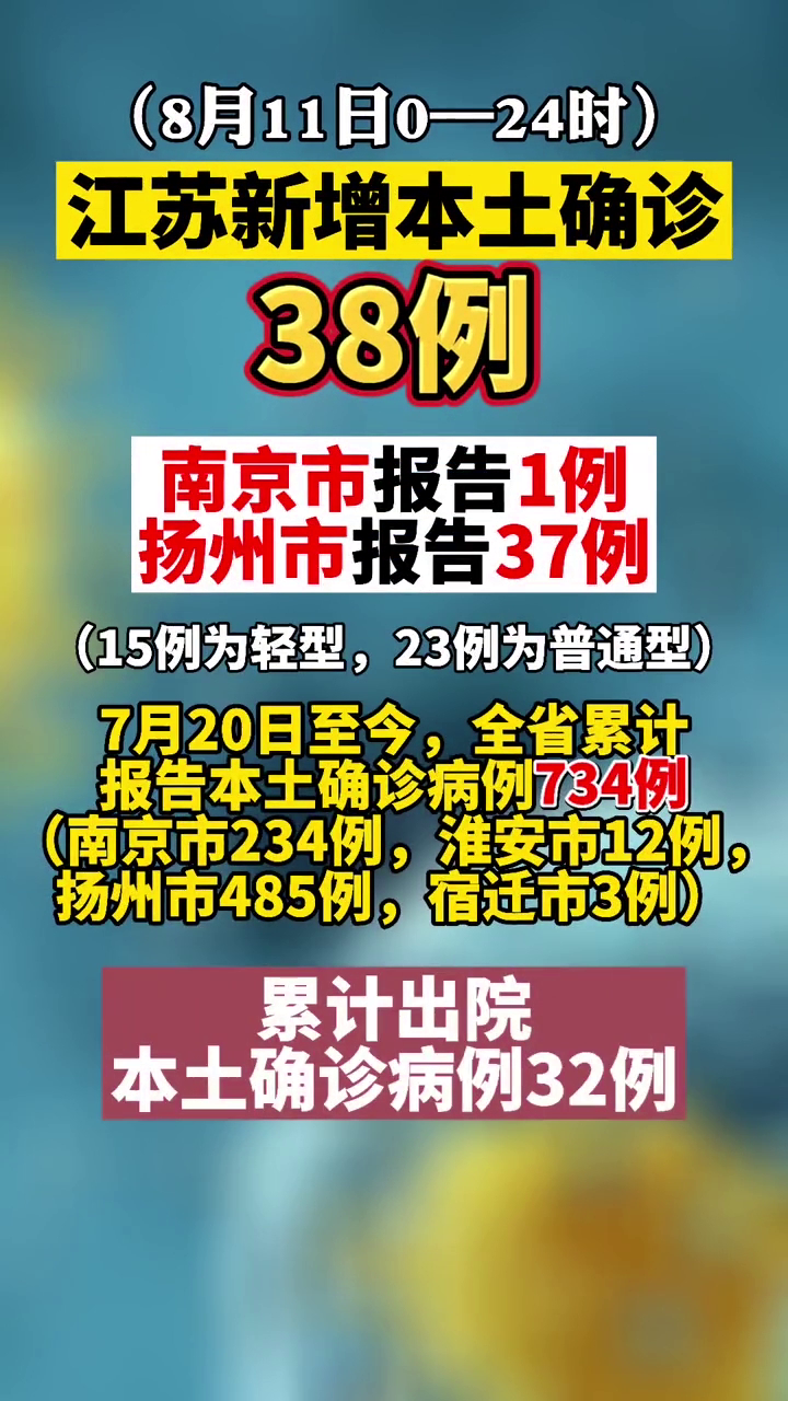 管家婆一笑一马100正确106期 01-15-24-26-34-37V：02,管家婆一笑一马，揭秘第100期彩票背后的神秘数字与策略解析