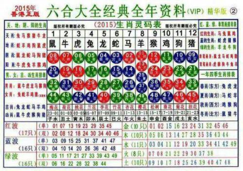 2025十二生肖49个码004期 04-49-26-19-30-44T：10,探索十二生肖与彩票密码，一场奇妙的数字之旅